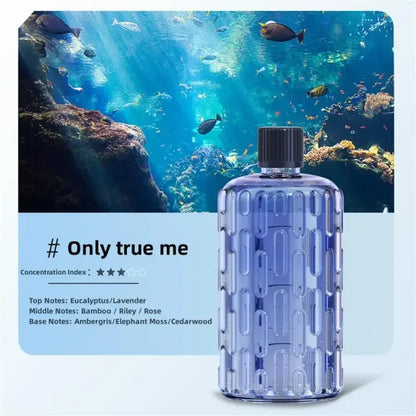 Diffuseur Aromathérapie — Sanctuaire Olfactif pour la Maison
